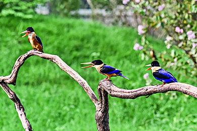 《百日战纪-最终防卫学园-》PC试玩发布 弹丸论破风