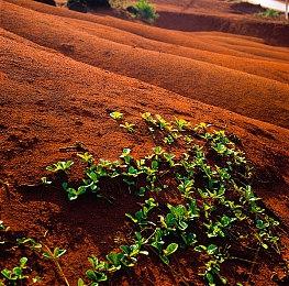 SIE：不担心Switch 2 大屏幕最佳体验需要PS5级别性能